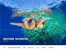 Tablet Screenshot of giunchi.net